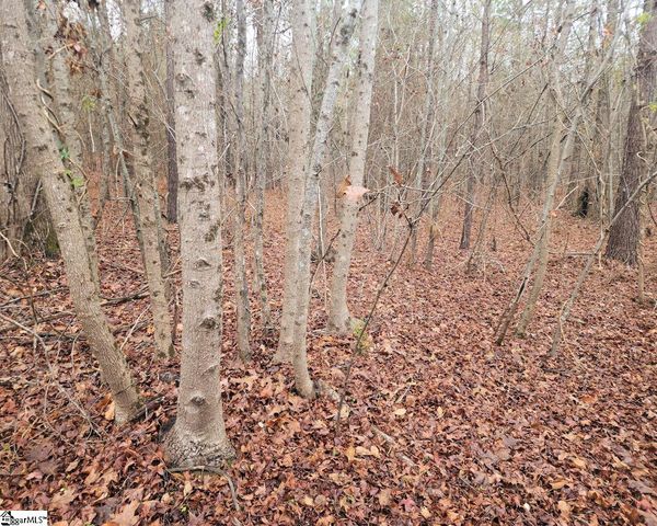 Scott Lane, Pelzer, SC 29669
