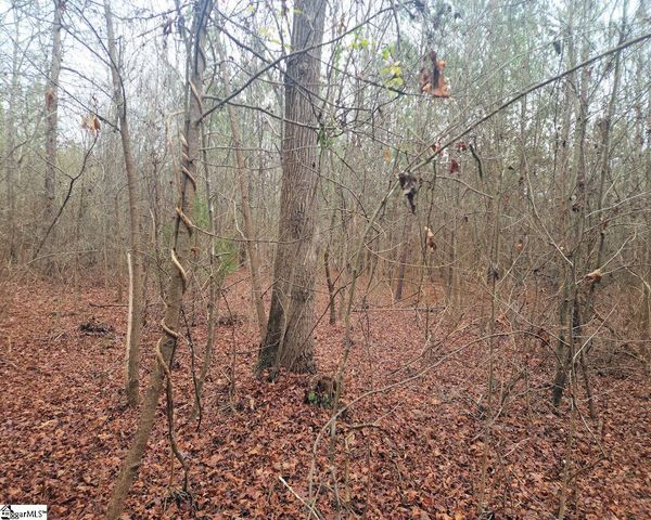 Scott Lane, Pelzer, SC 29669