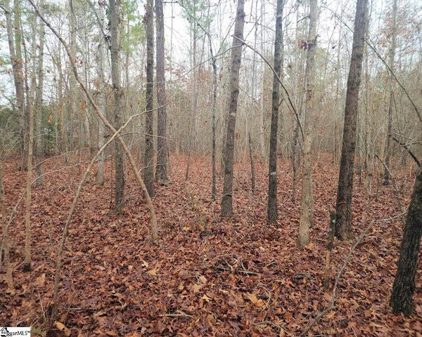 Scott Lane, Pelzer, SC 29669