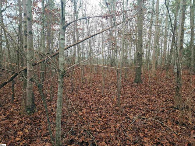 Scott Lane, Pelzer, SC 29669
