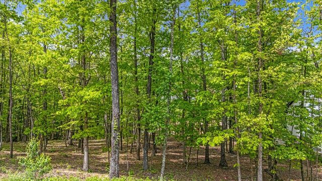 4288 Amethyst Road, Chattanooga, TN 37419