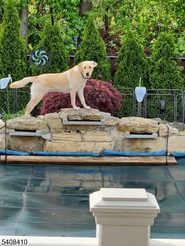 9 Robert Dr, East Hanover Twp., NJ 07936