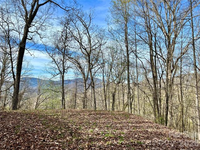 00 Lyle Mountain Trail 53, Franklin, NC 28734