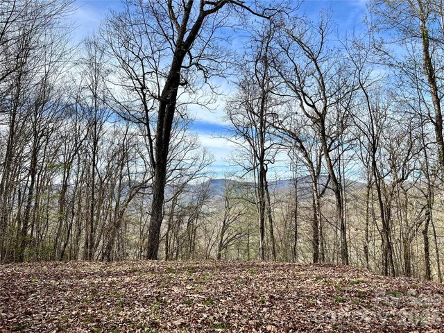 00 Lyle Mountain Trail 53, Franklin, NC 28734