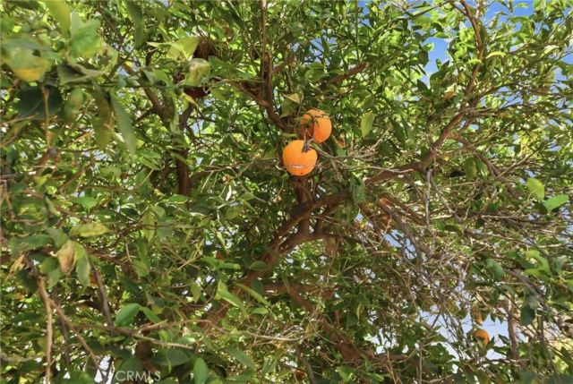 9395 Palo Alto, Rancho Cucamonga, CA 91730