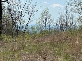 20 Falling Star Way, Landrum, SC 29356