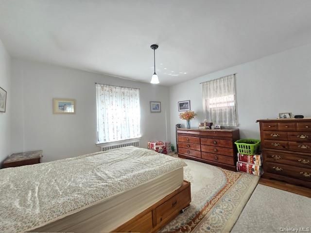 46 Grace Avenue 2J, Great Neck, NY 11021