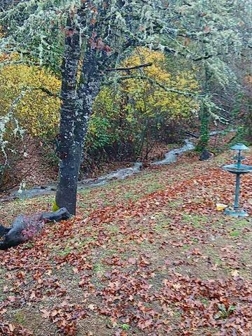 24131 Redwood Highway, Kerby, OR 97531