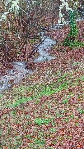 24131 Redwood Highway, Kerby, OR 97531