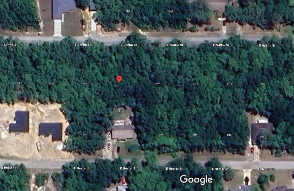 3054 E GRIFFIN STREET, Inverness, FL 34453