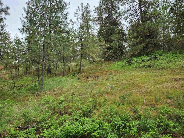 26237 N Spotted Rd, Deer Park, WA 99006