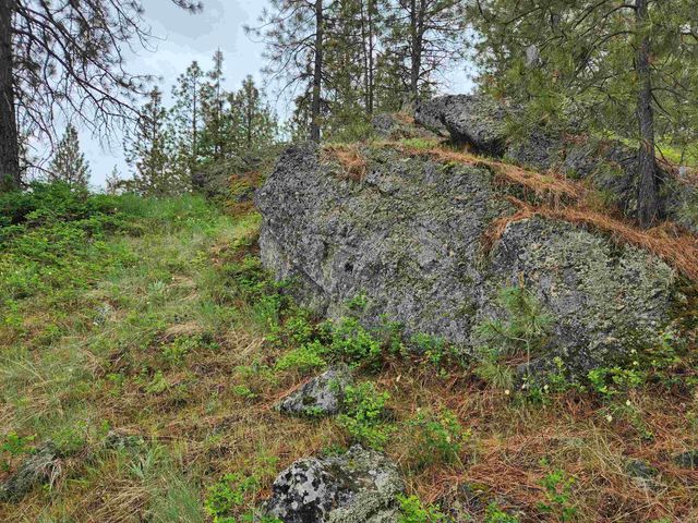 26237 N Spotted Rd, Deer Park, WA 99006