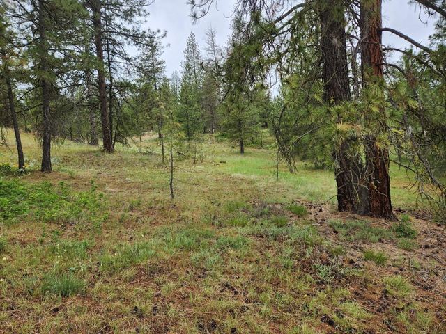 26237 N Spotted Rd, Deer Park, WA 99006