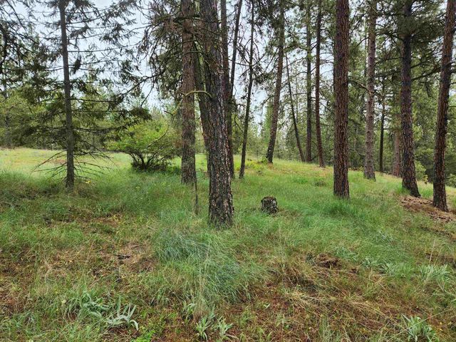 26237 N Spotted Rd, Deer Park, WA 99006