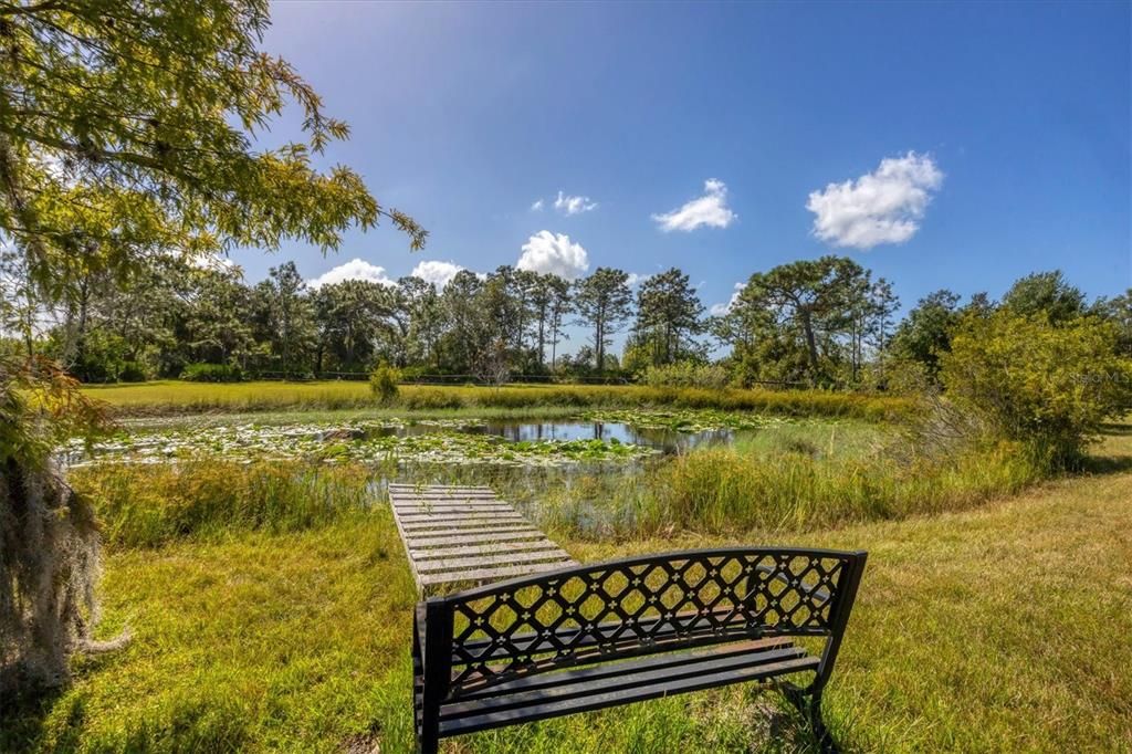 Image 50 of property listing at 26806 GOPHER HILL ROAD, Myakka City, FL 34251