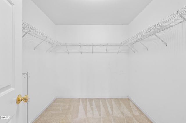 1004 Wild Sonnet Court, Apex, NC 27502