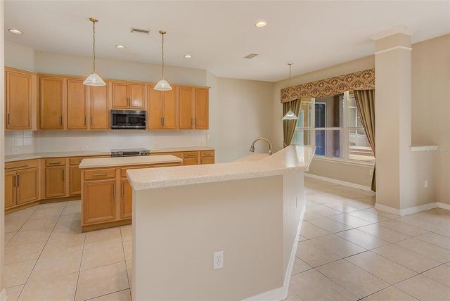 5516 GARDEN ARBOR DRIVE, Lutz, FL 33558