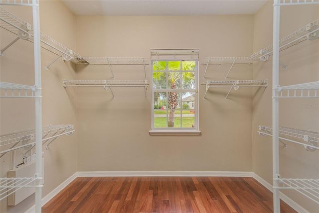 5516 GARDEN ARBOR DRIVE, Lutz, FL 33558