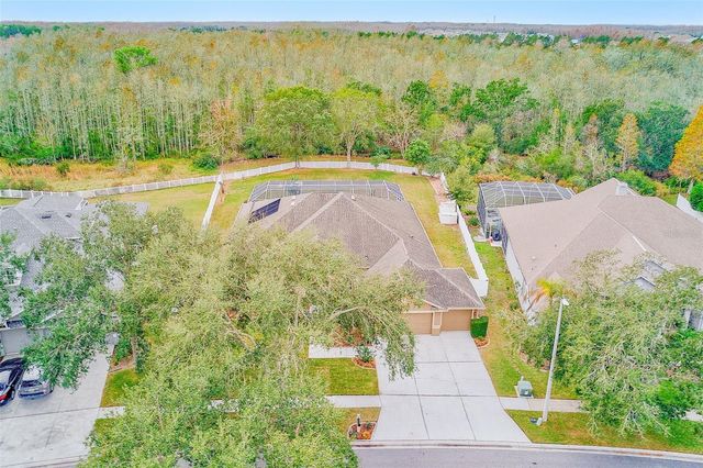 5516 GARDEN ARBOR DRIVE, Lutz, FL 33558