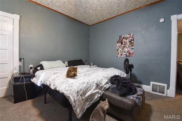 619 E Main Street, Staunton, IL 62088