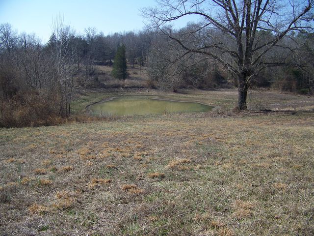 1452 County Road 542, Caulfield, MO 65626