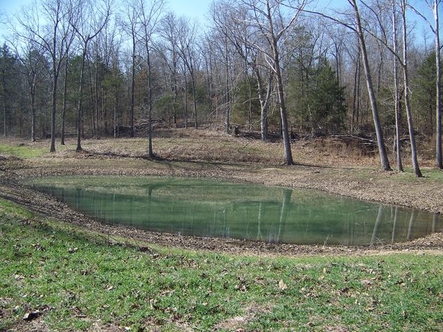 1452 County Road 542, Caulfield, MO 65626