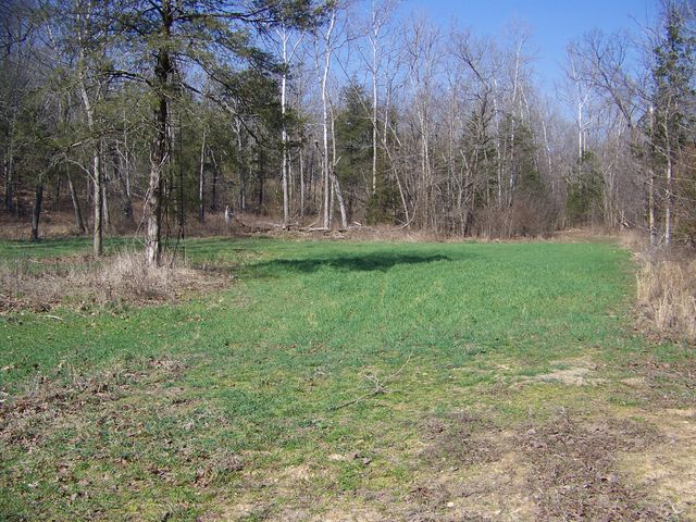 1452 County Road 542, Caulfield, MO 65626