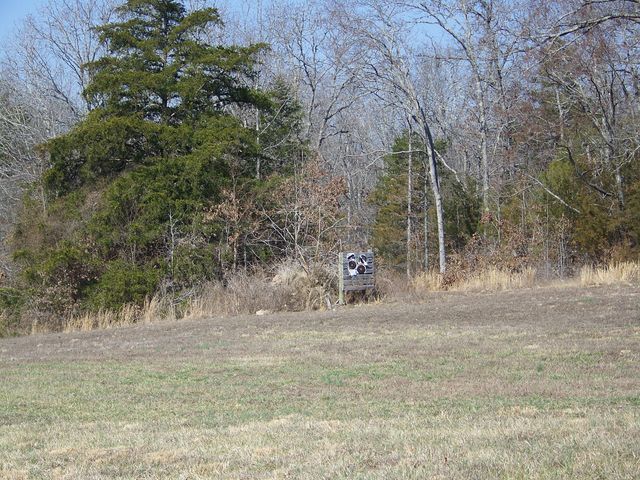 1452 County Road 542, Caulfield, MO 65626