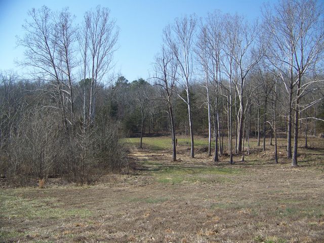 1452 County Road 542, Caulfield, MO 65626