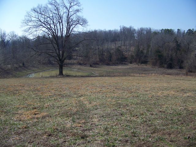 1452 County Road 542, Caulfield, MO 65626