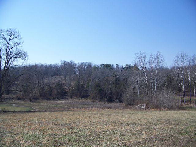 1452 County Road 542, Caulfield, MO 65626