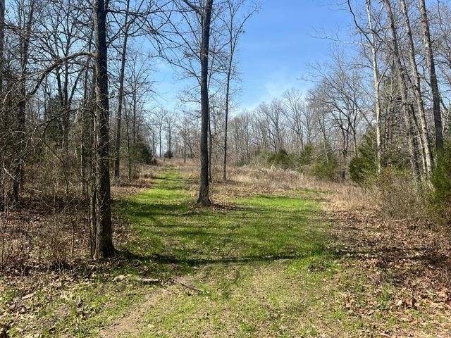 1452 County Road 542, Caulfield, MO 65626