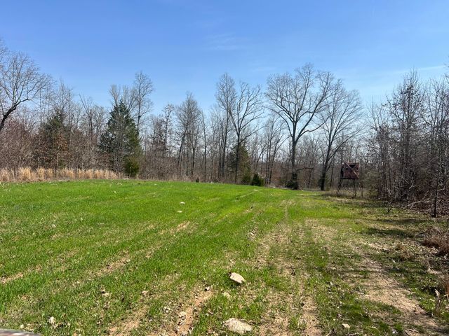 1452 County Road 542, Caulfield, MO 65626