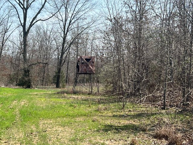 1452 County Road 542, Caulfield, MO 65626