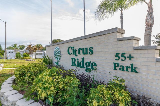 339 CITRUS RIDGE DRIVE, Davenport, FL 33837