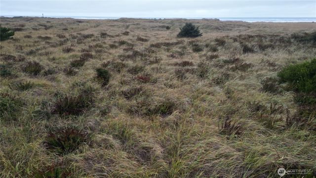 33707 G Street, Ocean Park, WA 98640