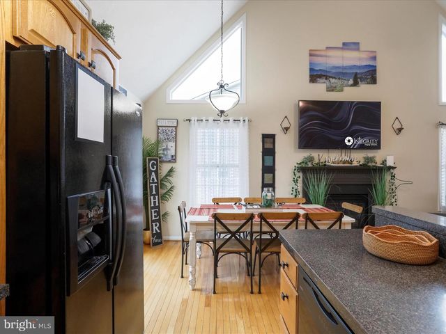 317 LOCUSTDALE LOOP, Shenandoah, VA 22849