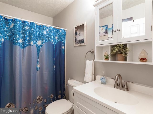 317 LOCUSTDALE LOOP, Shenandoah, VA 22849