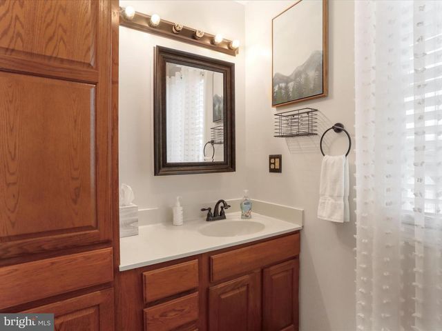 317 LOCUSTDALE LOOP, Shenandoah, VA 22849