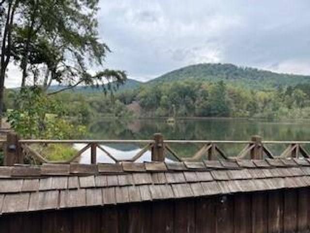 257 Andes Ridge, Ellijay, GA 30536