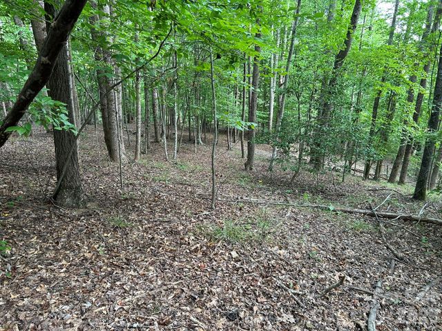 00 Wilderness Ridge, Rutherfordton, NC 28139