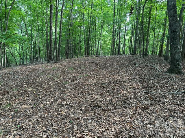 00 Wilderness Ridge, Rutherfordton, NC 28139