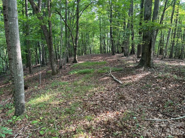00 Wilderness Ridge, Rutherfordton, NC 28139
