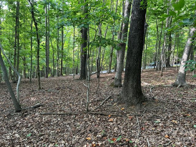 00 Wilderness Ridge, Rutherfordton, NC 28139