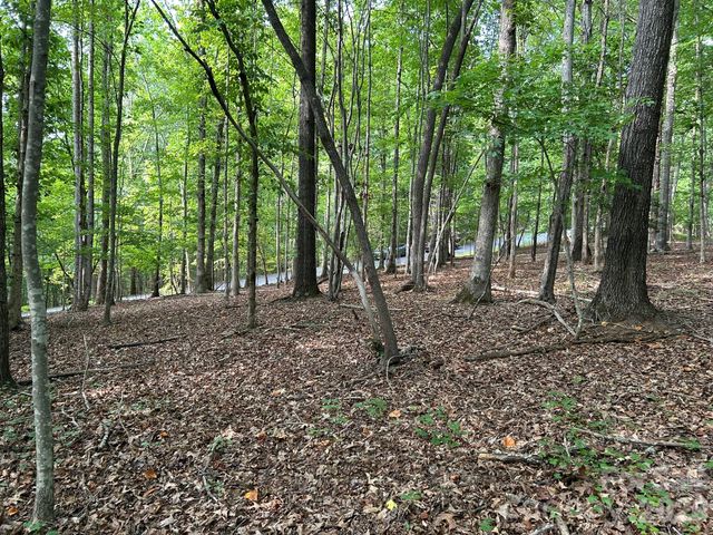 00 Wilderness Ridge, Rutherfordton, NC 28139