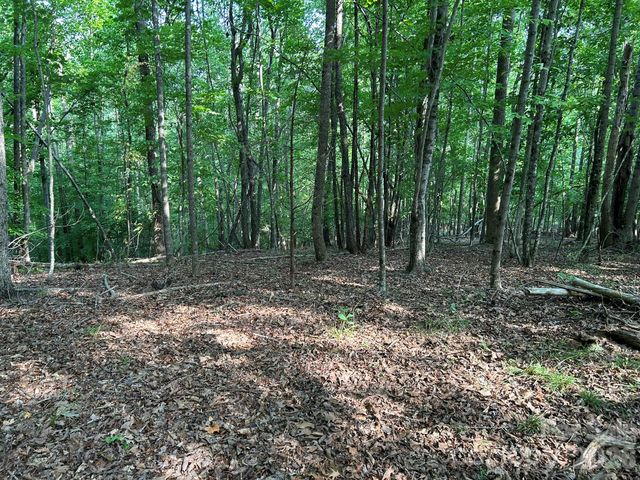 00 Wilderness Ridge, Rutherfordton, NC 28139