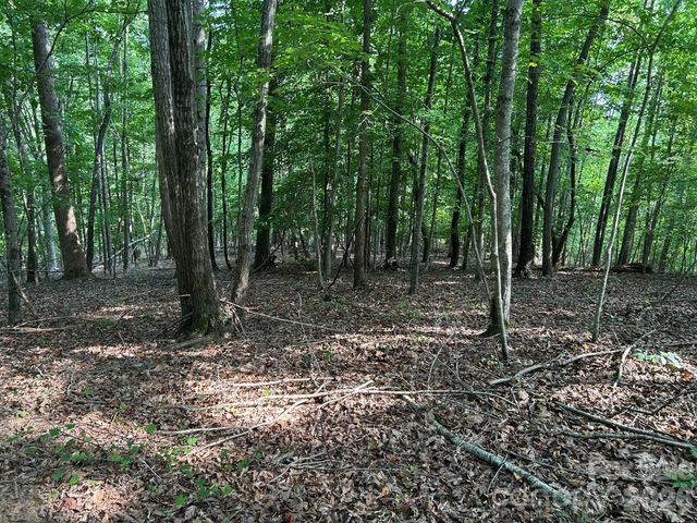 00 Wilderness Ridge, Rutherfordton, NC 28139