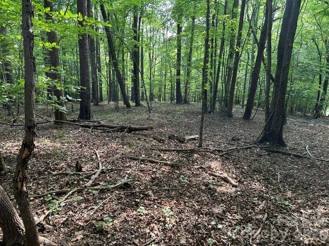 00 Wilderness Ridge, Rutherfordton, NC 28139