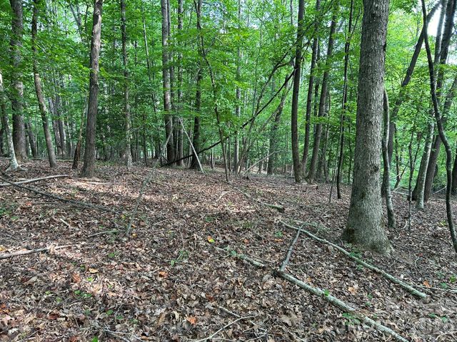 00 Wilderness Ridge, Rutherfordton, NC 28139