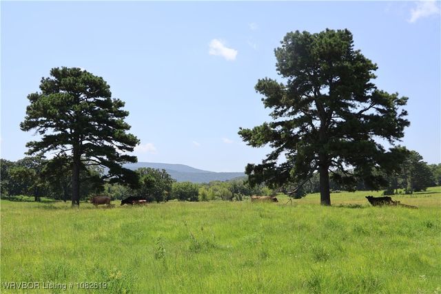 37280 Morris Creek Road, Howe, OK 74940